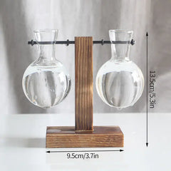 Hydroponic Transparent Plant Vases