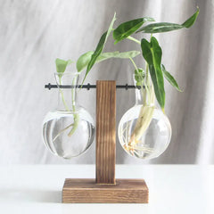 Hydroponic Transparent Plant Vases