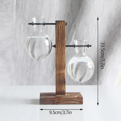 Hydroponic Transparent Plant Vases