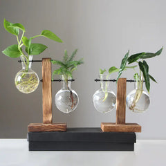 Hydroponic Transparent Plant Vases