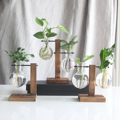 Hydroponic Transparent Plant Vases